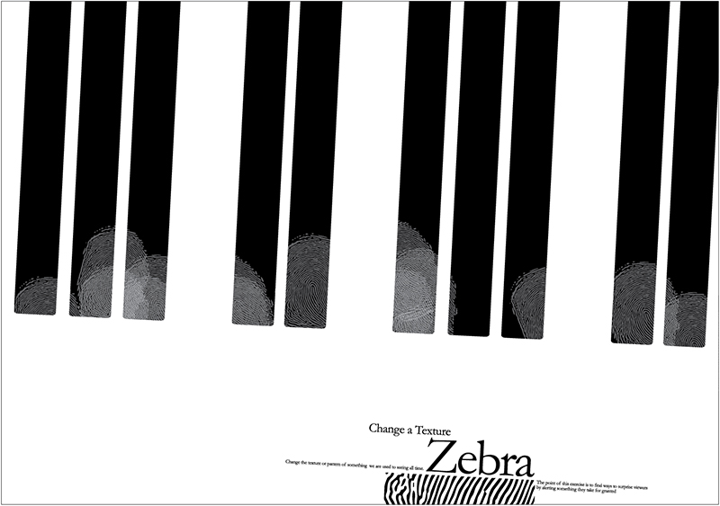 zebra.jpg
